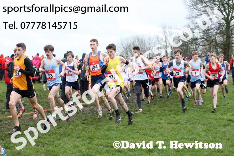 Junior boys 2019 New Balance English Schools Cross Country Champs, Temple Newsam, Leeds. Photo:  David T. Hewitson/Sports for All Pics